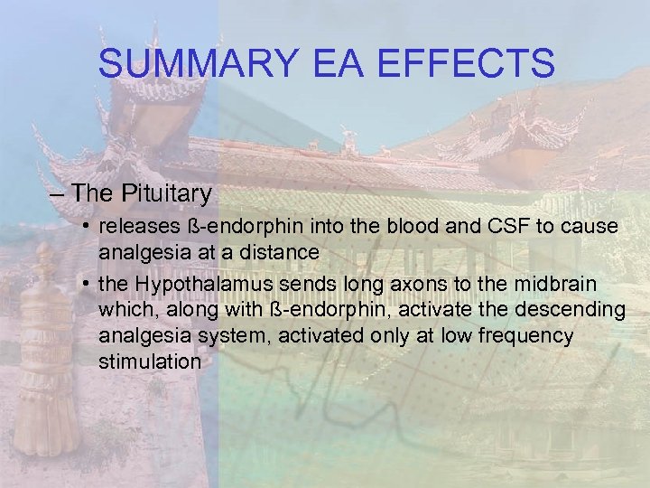 SUMMARY EA EFFECTS – The Pituitary • releases ß-endorphin into the blood and CSF