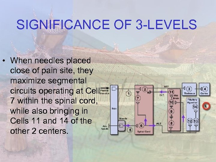SIGNIFICANCE OF 3 -LEVELS • When needles placed close of pain site, they maximize