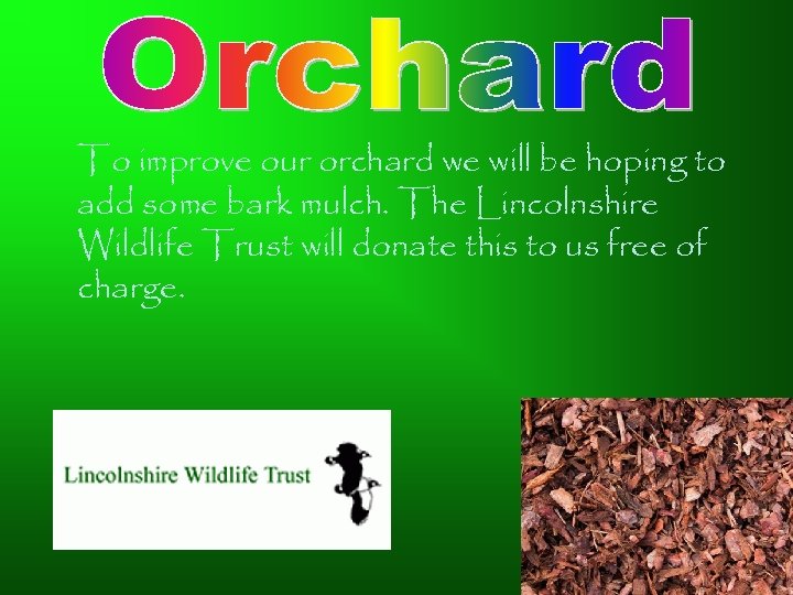 To improve our orchard we will be hoping to add some bark mulch. The