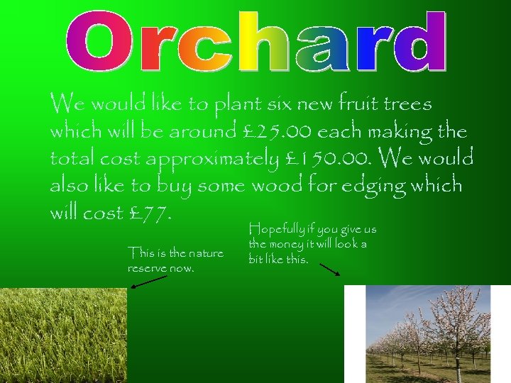 We would like to plant six new fruit trees which will be around £