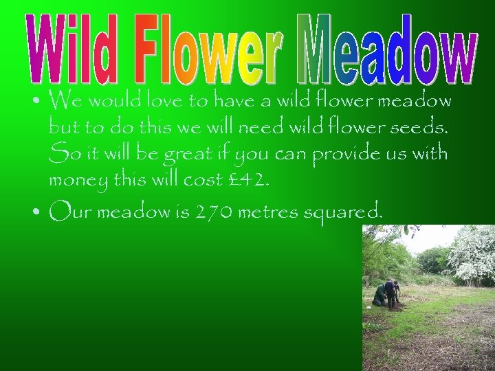  • We would love to have a wild flower meadow but to do