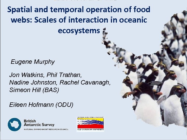 Spatial and temporal operation of food webs: Scales of interaction in oceanic ecosystems Eugene