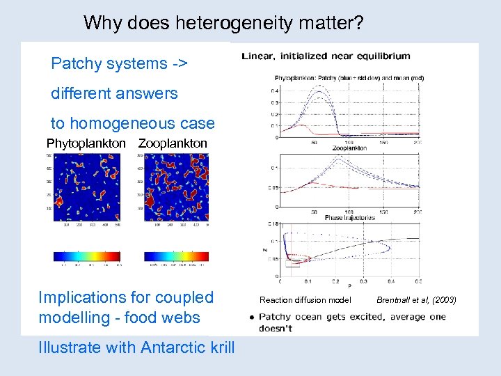 Why does heterogeneity matter? Patchy systems -> different answers to homogeneous case Phytoplankton Zooplankton
