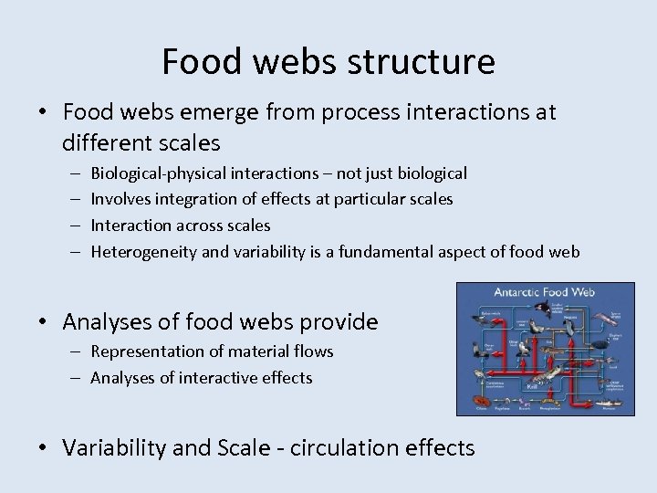 Food webs structure • Food webs emerge from process interactions at different scales –