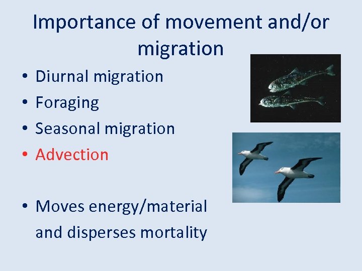 Importance of movement and/or migration • • Diurnal migration Foraging Seasonal migration Advection •