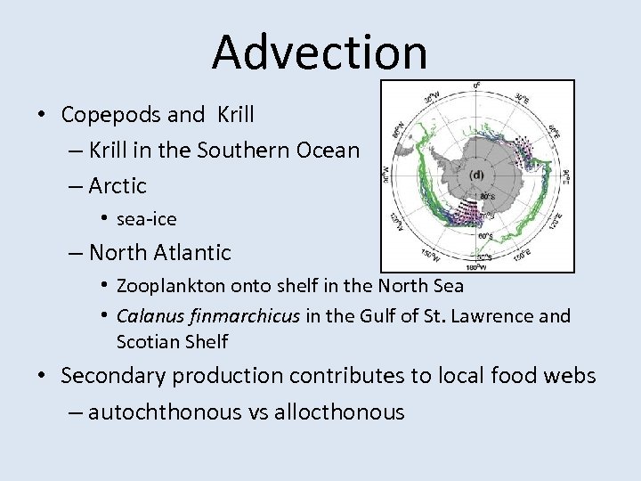 Advection • Copepods and Krill – Krill in the Southern Ocean – Arctic •