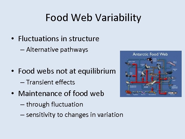 Food Web Variability • Fluctuations in structure – Alternative pathways • Food webs not