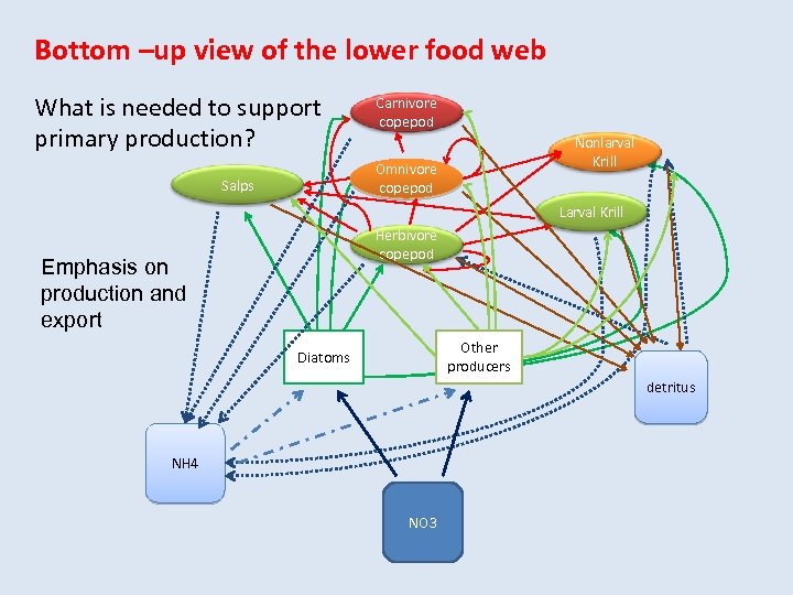 Bottom –up view of the lower food web What is needed to support primary