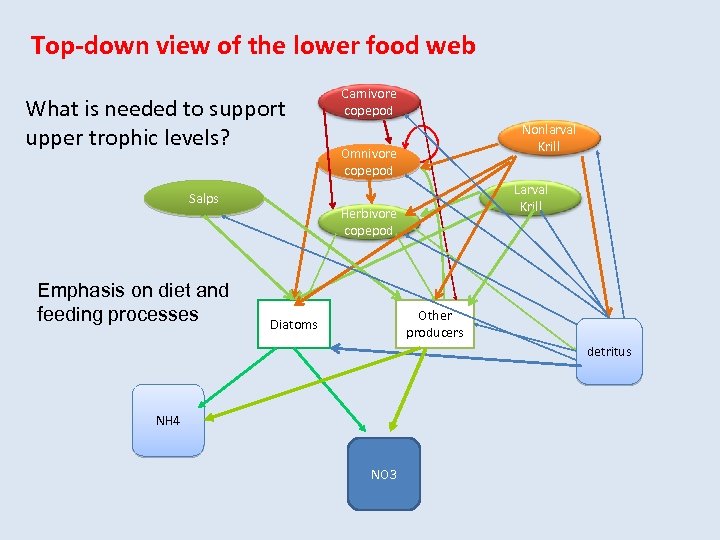 Spatial And Temporal Operation Of Food Webs Scales