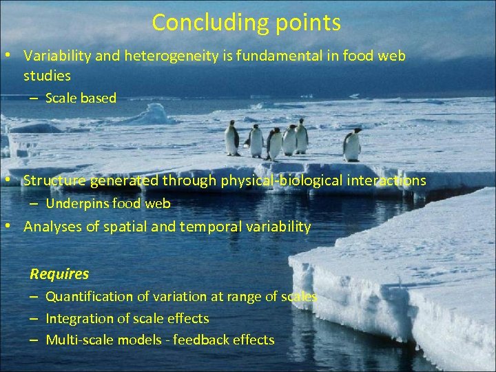 Concluding points • Variability and heterogeneity is fundamental in food web studies – Scale