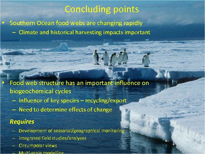 Concluding points • Southern Ocean food webs are changing rapidly – Climate and historical