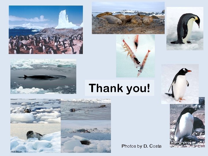 Thank you! Photos by D. Costa 