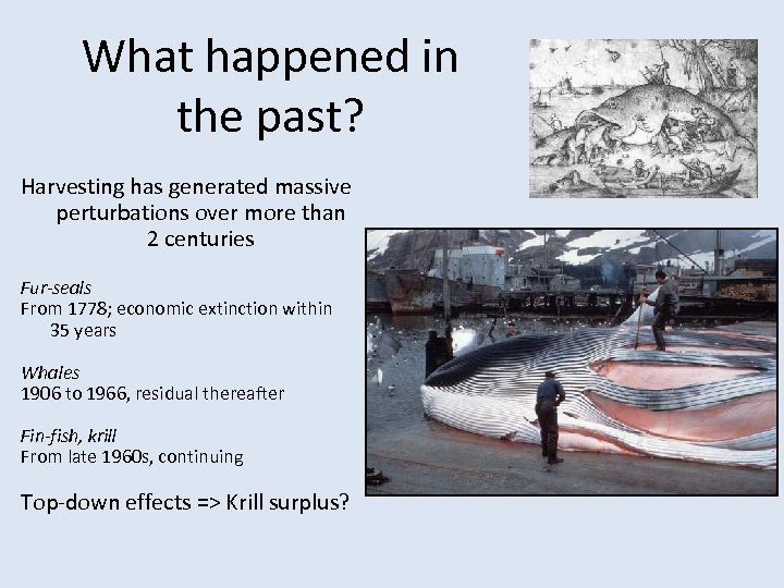 What happened in the past? Harvesting has generated massive perturbations over more than 2