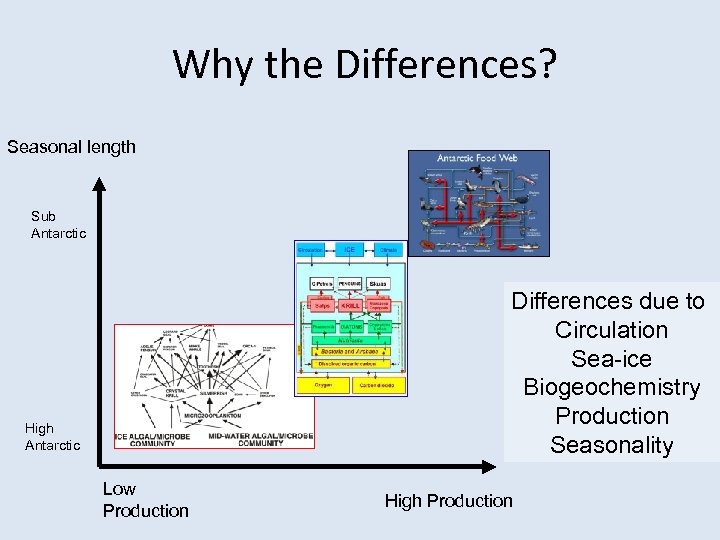 Why the Differences? Seasonal length Sub Antarctic Differences due to Circulation Sea-ice Biogeochemistry Production