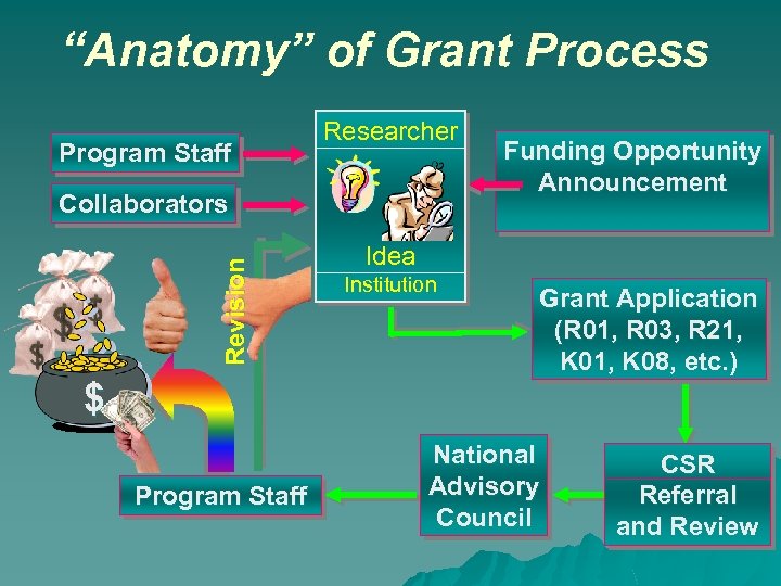 “Anatomy” of Grant Process Program Staff Researcher Revision Collaborators Funding Opportunity Announcement Idea Institution