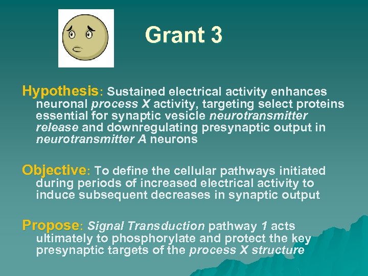 Grant 3 Hypothesis: Sustained electrical activity enhances neuronal process X activity, targeting select proteins