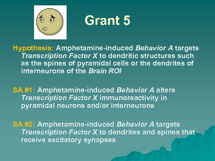 Grant 5 Hypothesis: Amphetamine-induced Behavior A targets Transcription Factor X to dendritic structures such