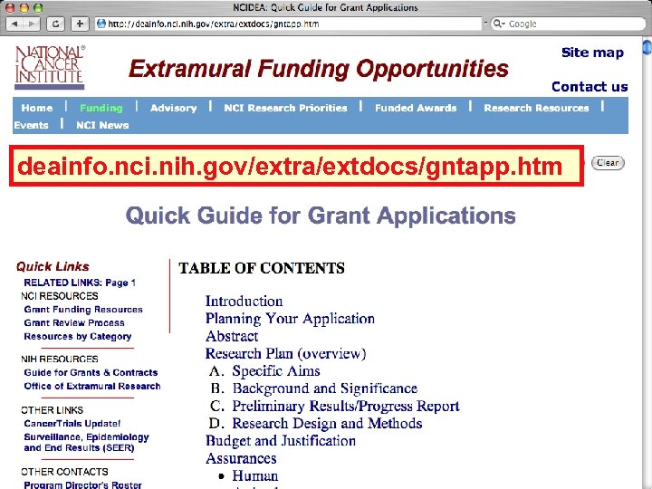 deainfo. nci. nih. gov/extra/extdocs/gntapp. htm 