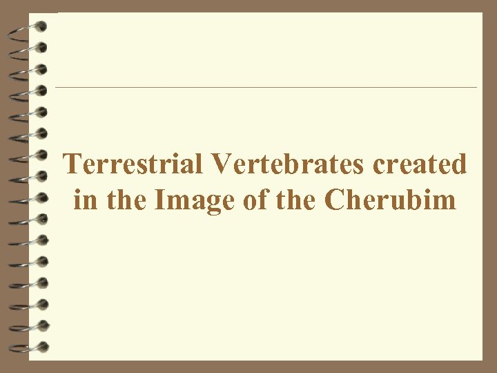 Terrestrial Vertebrates created in the Image of the Cherubim 