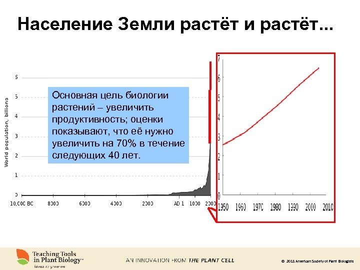 Население Земли растёт. . . Основная цель биологии растений – увеличить продуктивность; оценки показывают,