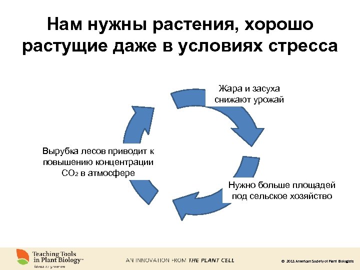 Нам нужны растения, хорошо растущие даже в условиях стресса Жара и засуха снижают урожай