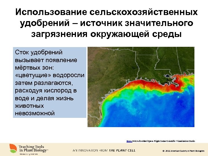 Использование сельскохозяйственных удобрений – источник значительного загрязнения окружающей среды Сток удобрений вызывает появление мёртвых