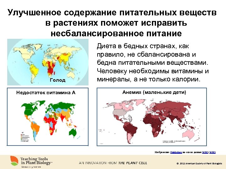 Улучшенное содержание питательных веществ в растениях поможет исправить несбалансированное питание Голод Недостаток витамина A