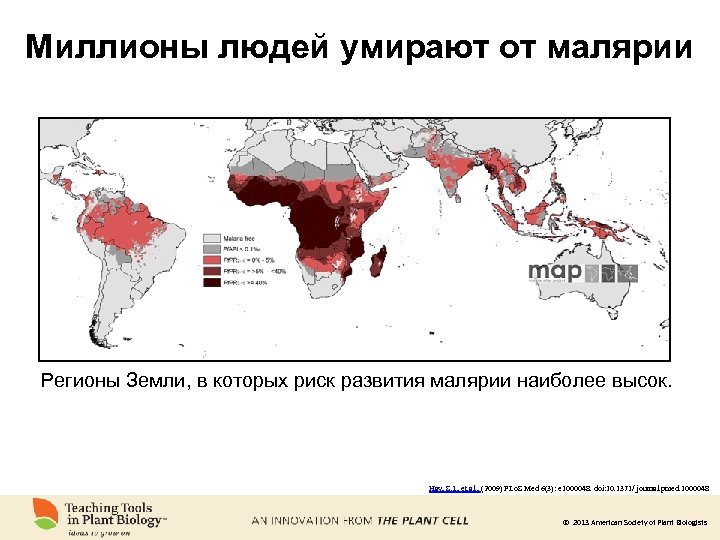 Миллионы людей умирают от малярии Регионы Земли, в которых риск развития малярии наиболее высок.