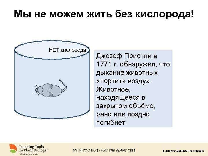 Мы не можем жить без кислорода! НЕТ кислорода X X Джозеф Пристли в 1771