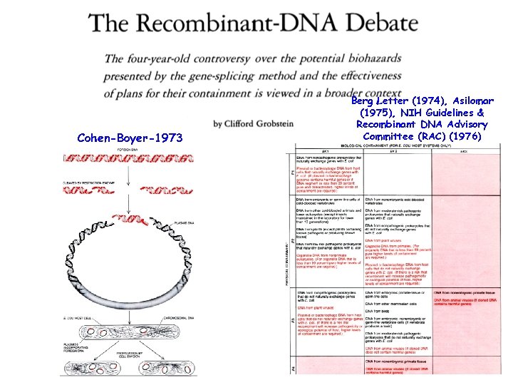 Cohen-Boyer-1973 Berg Letter (1974), Asilomar (1975), NIH Guidelines & Recombinant DNA Advisory Committee (RAC)