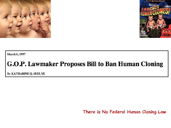 There is No Federal Human Cloning Law 
