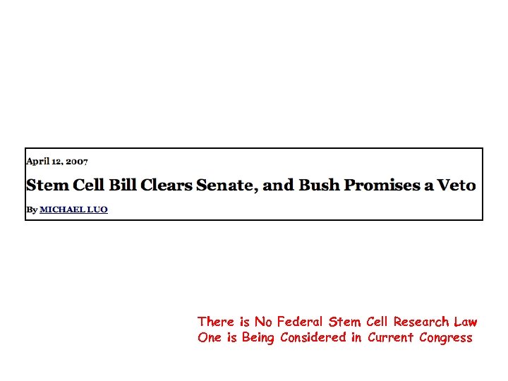 There is No Federal Stem Cell Research Law One is Being Considered in Current
