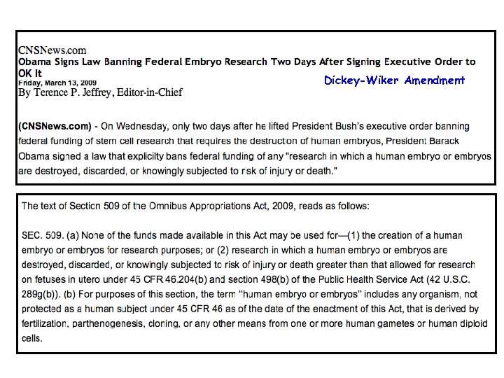 Dickey-Wiker Amendment 