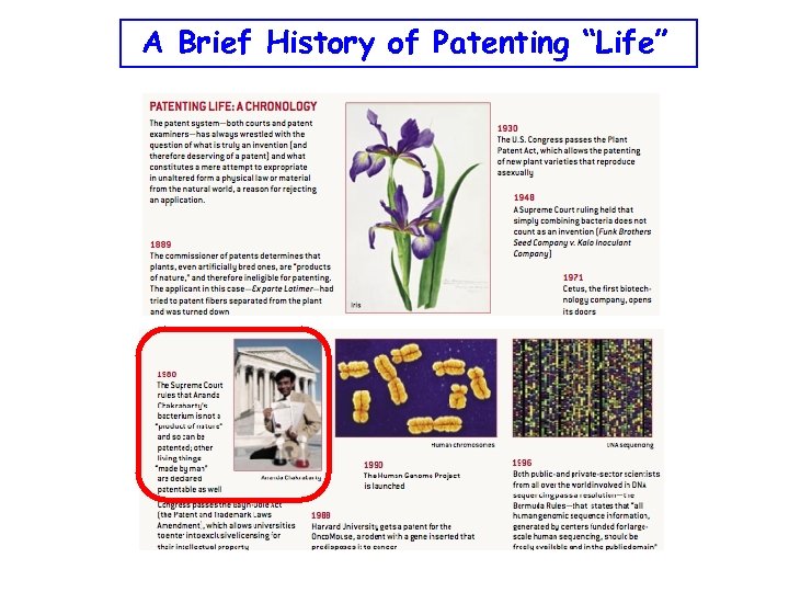 A Brief History of Patenting “Life” 