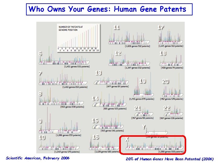 Who Owns Your Genes: Human Gene Patents Scientific American, February 2006 20% of Human