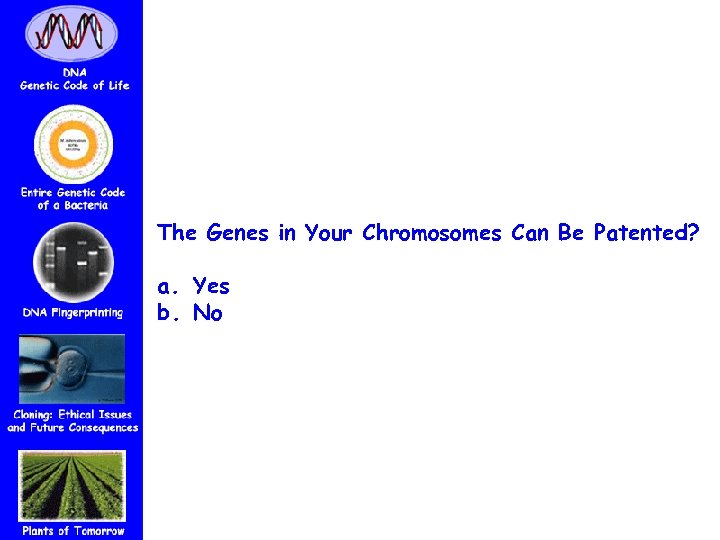 The Genes in Your Chromosomes Can Be Patented? a. Yes b. No 