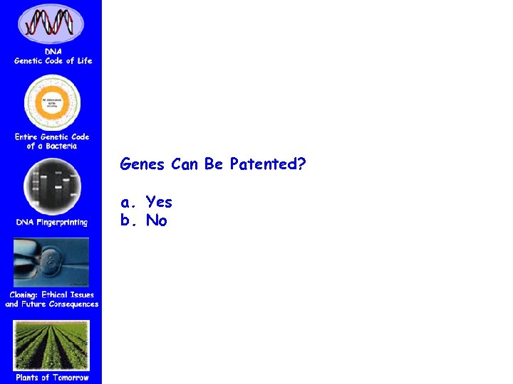 Genes Can Be Patented? a. Yes b. No 
