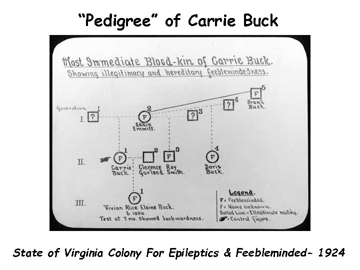 “Pedigree” of Carrie Buck State of Virginia Colony For Epileptics & Feebleminded- 1924 