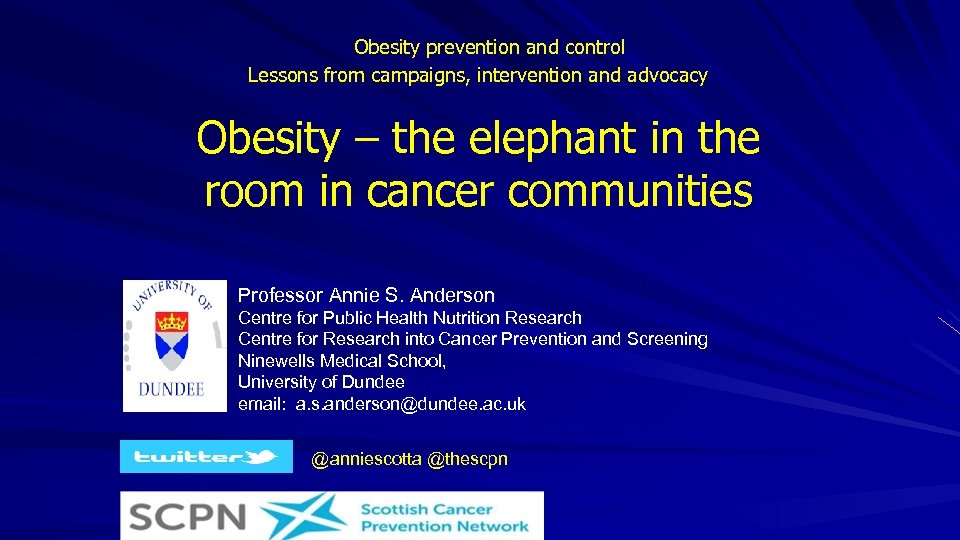  Obesity prevention and control Lessons from campaigns, intervention and advocacy Obesity – the