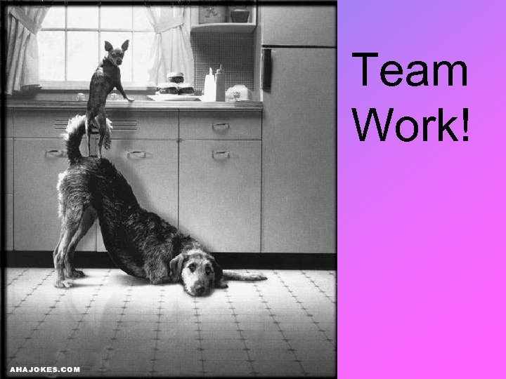 Team Work! 