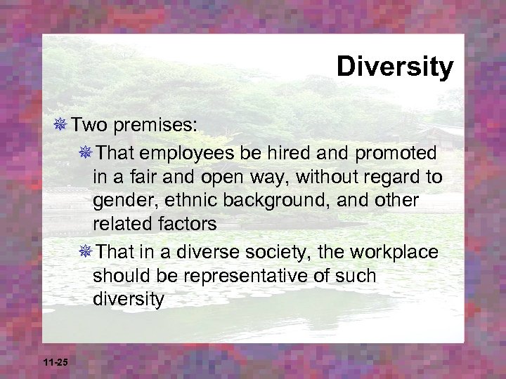 Diversity ¯ Two premises: ¯That employees be hired and promoted in a fair and