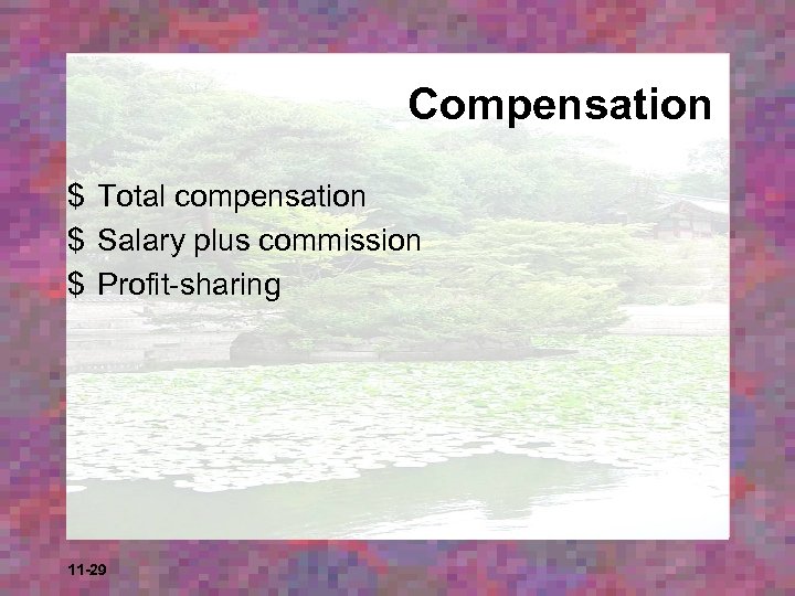 Compensation $ Total compensation $ Salary plus commission $ Profit-sharing 11 -29 