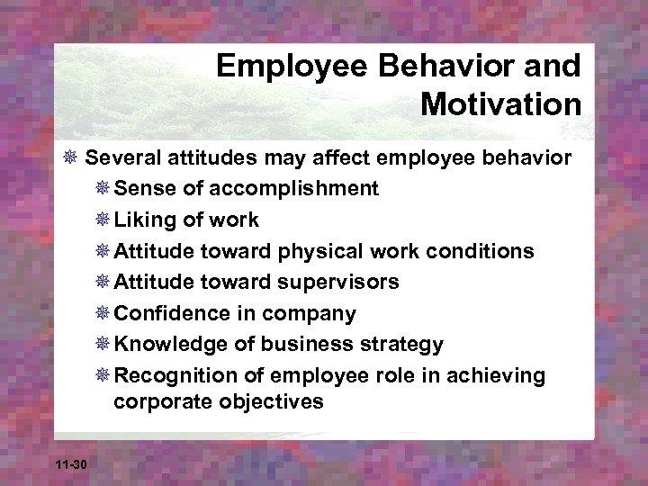 Employee Behavior and Motivation ¯ Several attitudes may affect employee behavior ¯Sense of accomplishment