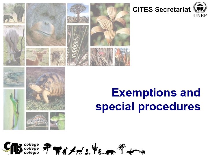 CITES Secretariat Exemptions and special procedures 1 