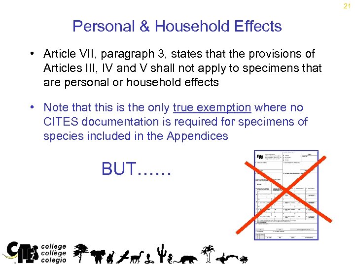 21 Personal & Household Effects • Article VII, paragraph 3, states that the provisions