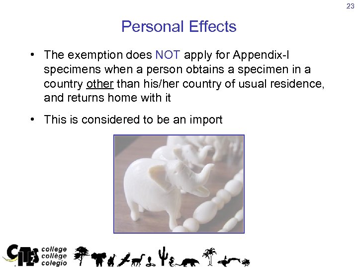 23 Personal Effects • The exemption does NOT apply for Appendix-I specimens when a