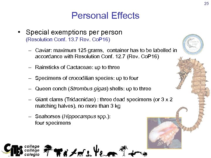 25 Personal Effects • Special exemptions person (Resolution Conf. 13. 7 Rev. Co. P