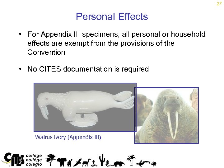 27 Personal Effects • For Appendix III specimens, all personal or household effects are