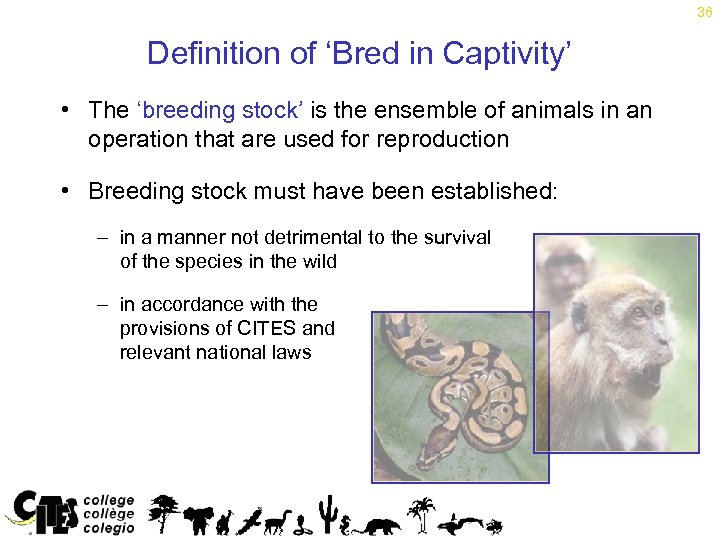 36 Definition of ‘Bred in Captivity’ • The ‘breeding stock’ is the ensemble of