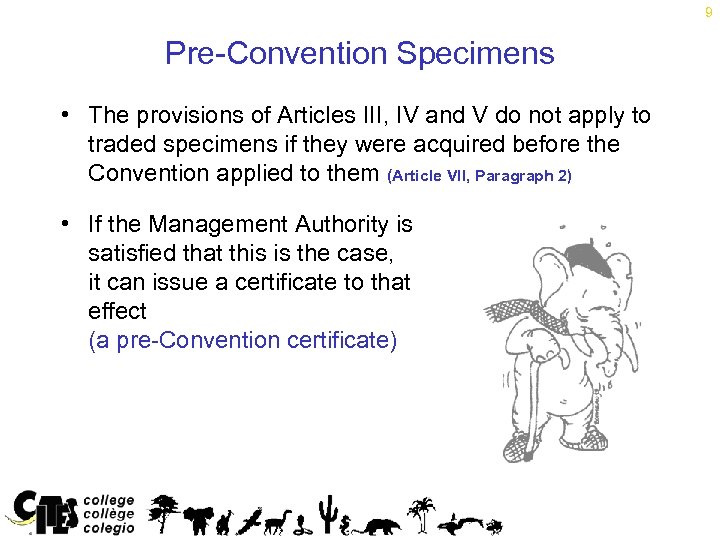 9 Pre-Convention Specimens • The provisions of Articles III, IV and V do not